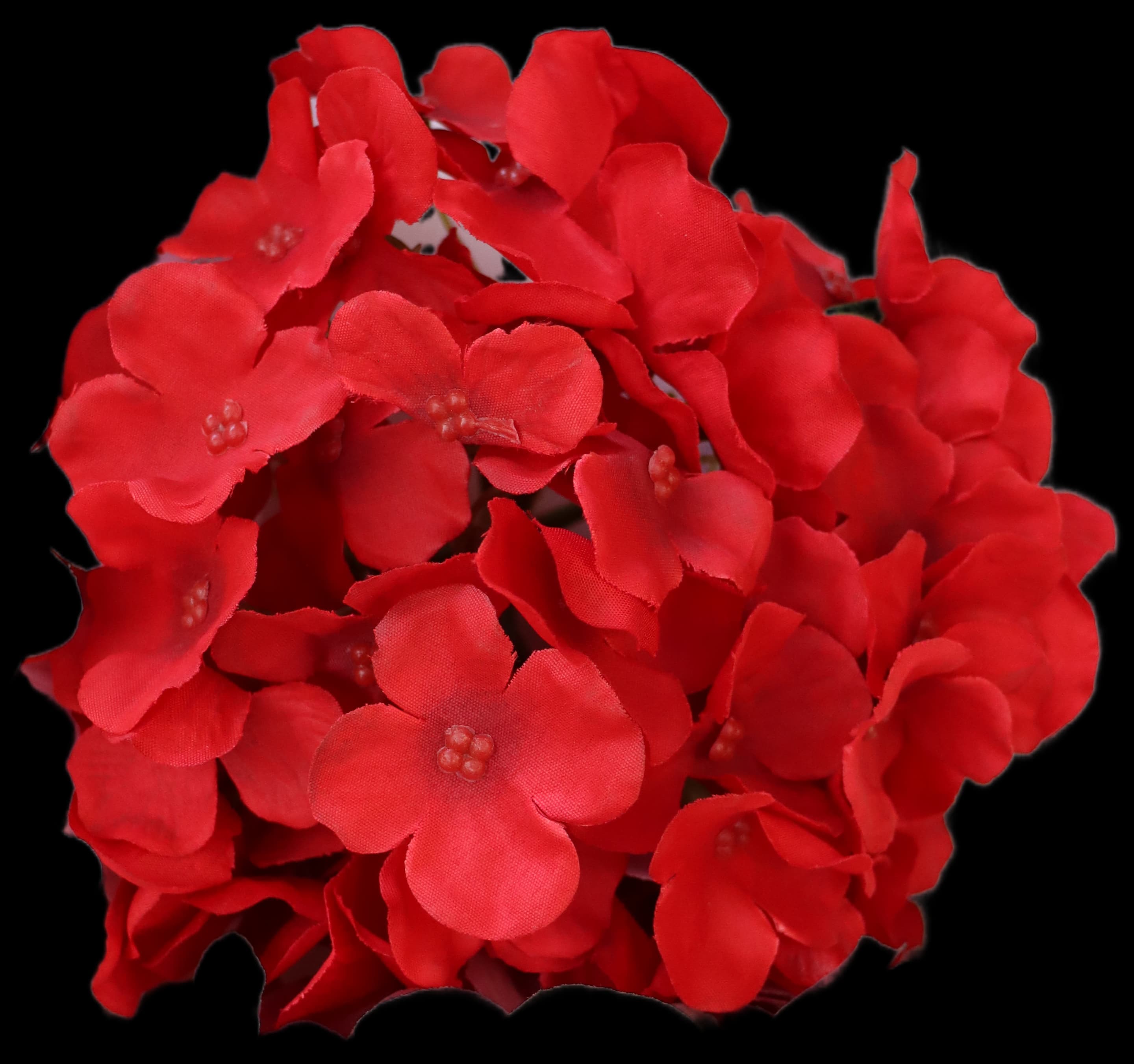 Artificial Roses