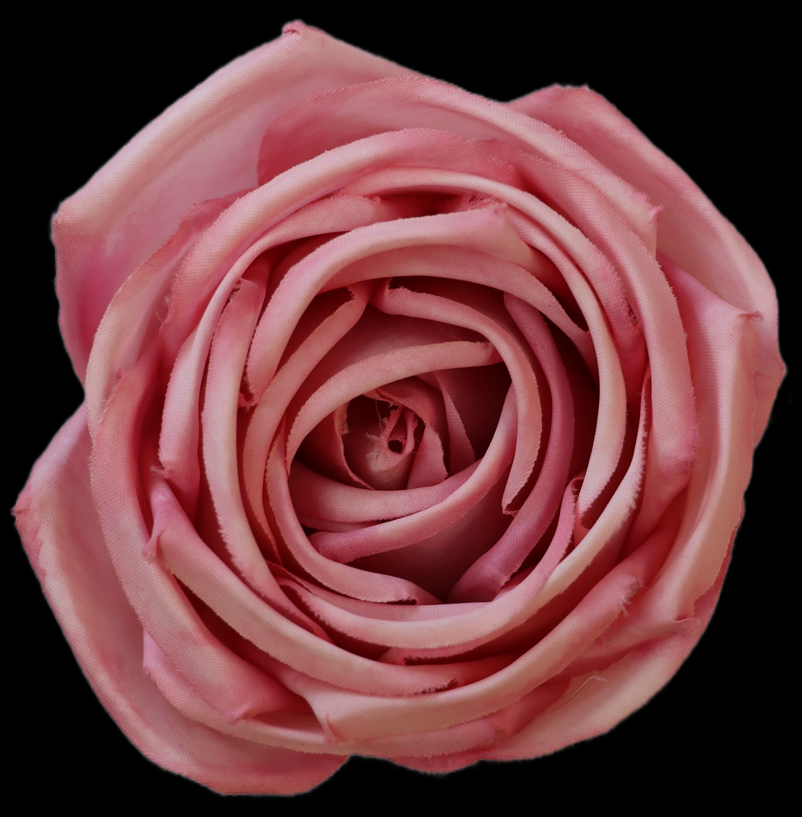 Artificial Roses