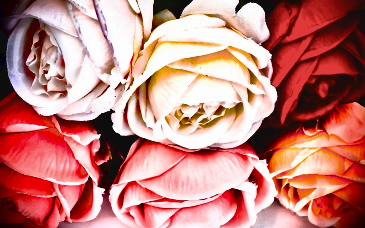Artificial Roses